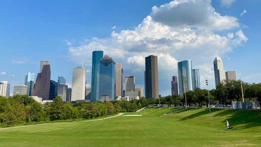 Houston Hair Restoration: Top Clinics and Treatments - Lazerus Health